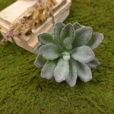 Artificial Succulent (Type 2)